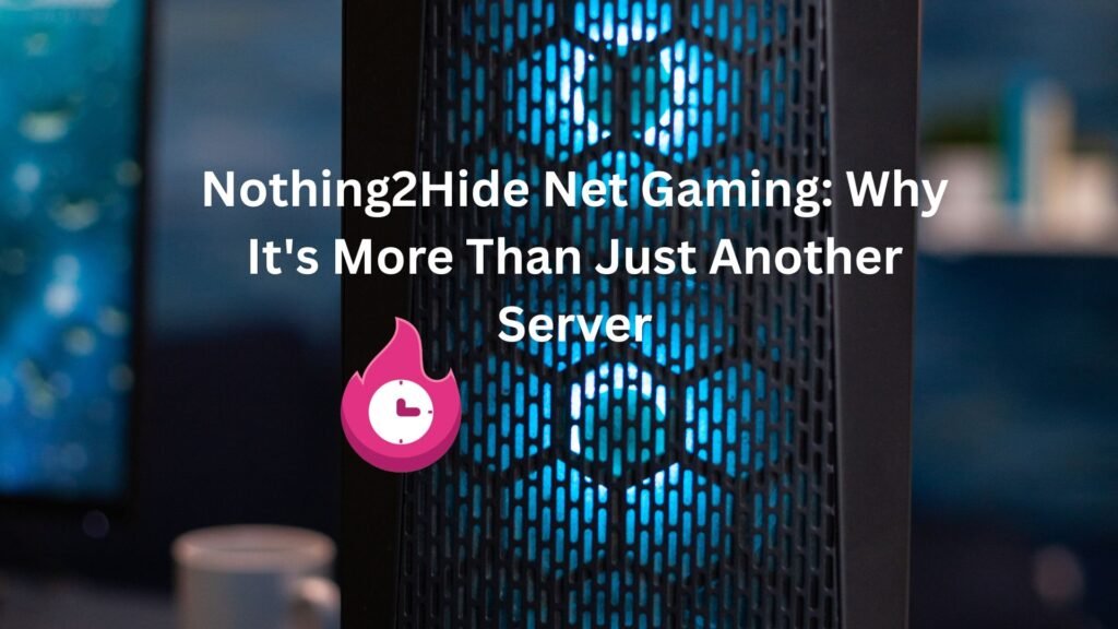 nothing2hide net gaming