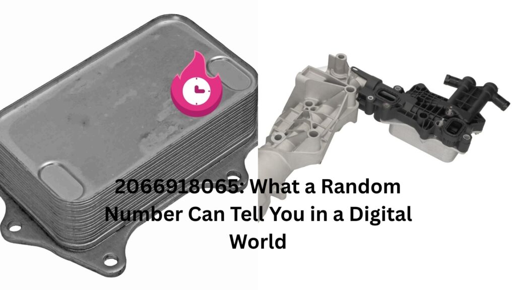 2066918065