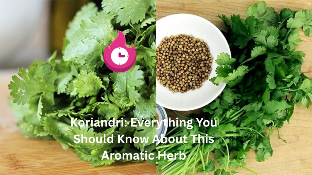Koriandri: Everything You Should Know About This Aromatic Herb koriandri