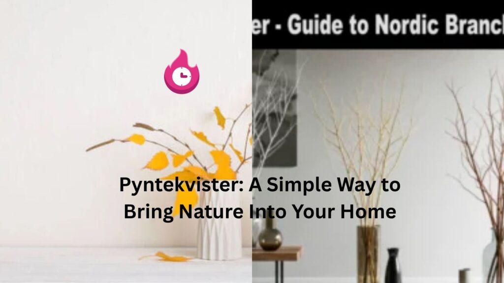pyntekvister